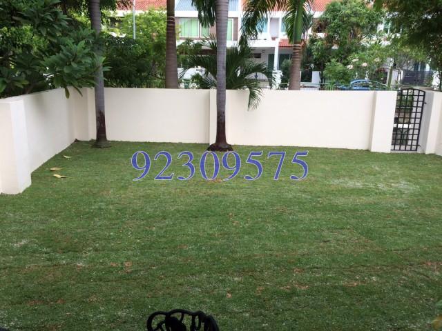 Bedok Pesari (D16), Semi-Detached #150807442